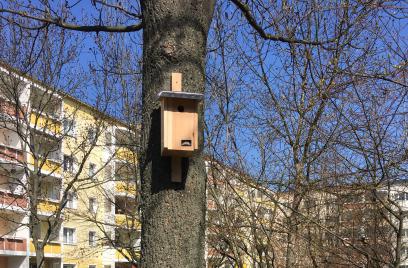 Nun ist er (endlich) da: DER FRÜHLING!