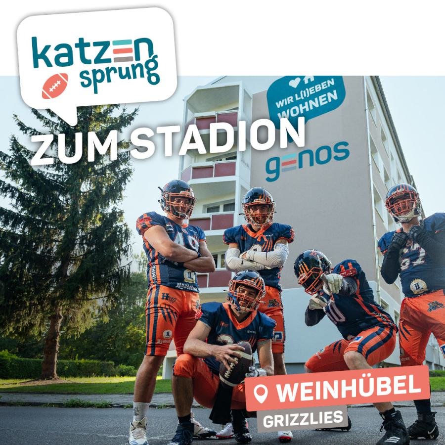 Grizzlies – Katzensprung ins Stadion